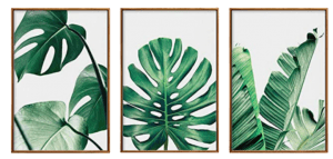 Láminas decorativas de palmeras